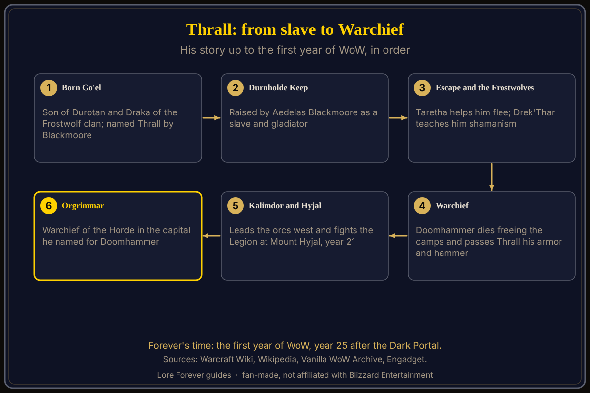 A six-step timeline of Thrall's story: born Go'el, raised at Durnholde Keep, escape and the Frostwolf clan, Warchief and the freed camps, the move to Kalimdor and Mount Hyjal in year 21, and Warchief in Orgrimmar in the first year of WoW. Source: Warcraft Wiki. Thrall's story, step by step