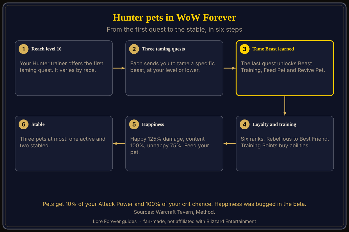 Six-step map of hunter pets in WoW Forever from Warcraft Tavern and Method: reach level 10 and take the Hunter trainer's quest; tame a specific beast in each of three quests; the last quest unlocks Beast Training, Feed Pet and Revive Pet; pets begin at Rebellious loyalty and rise to Best Friend; happy pets deal 125 percent damage; one active pet and two stabled pets at most. How taming works for hunters in WoW Forever