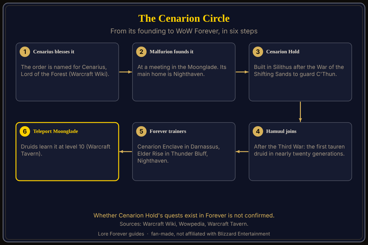 The Circle from its founding to the Druid trainers of WoW Forever. The Cenarion Circle in six steps: Cenarius blesses the order, Malfurion founds it in the Moonglade, the Circle builds Cenarion Hold in Silithus, Hamuul Runetotem joins after the Third War, Forever's Druid trainers stand in three places, and Druids learn Teleport Moonglade at level 10.