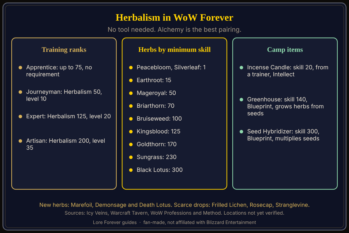 Herbalism ranks, example herbs by skill and the three camp items, from beta data. Herbalism in WoW Forever trains at skill 50, 125 and 200, ranges from Peacebloom at skill 1 to Black Lotus at 300, and has Incense Candle, Greenhouse and Seed Hybridizer camp items at skills 20, 140 and 300.