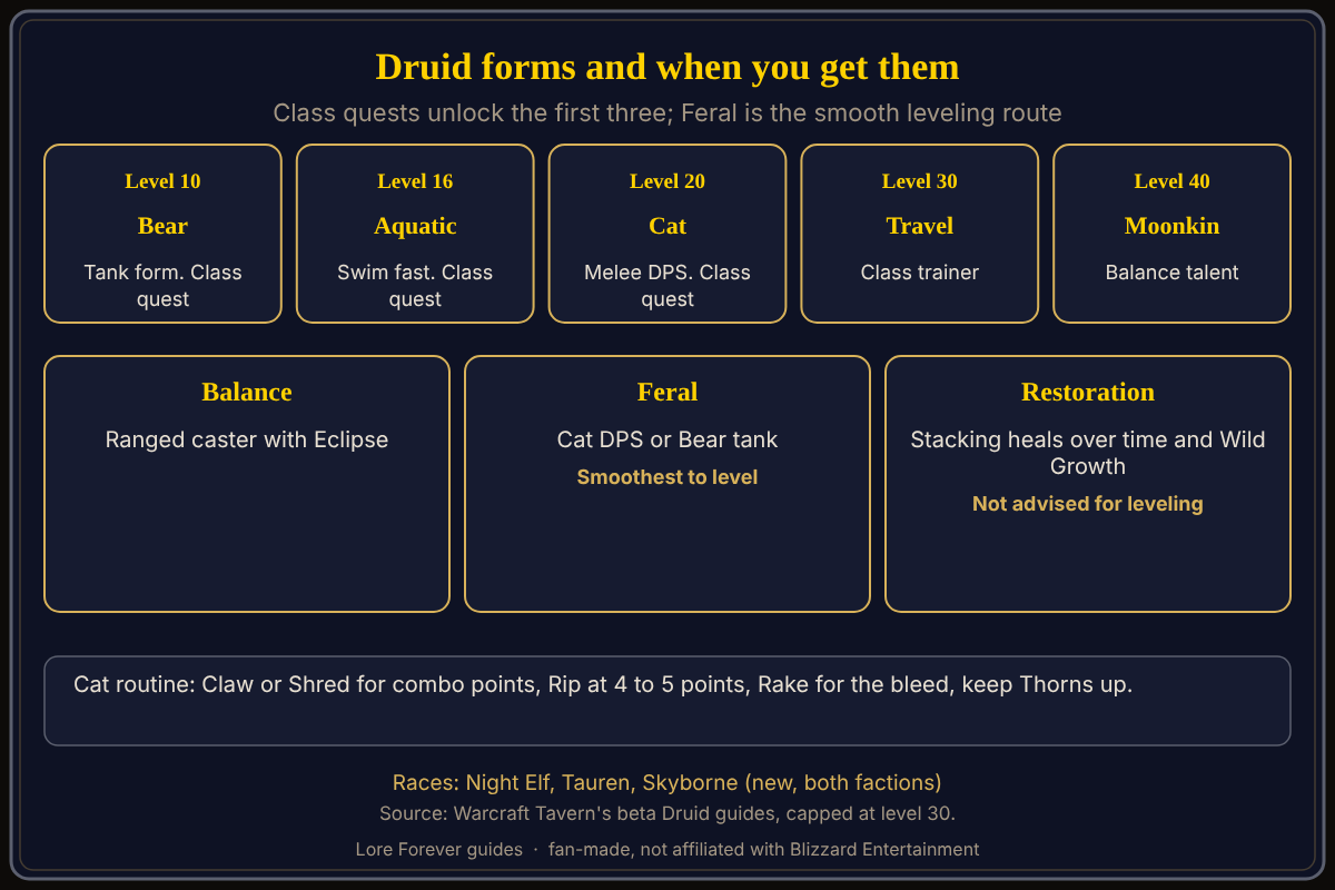 Form unlock levels and spec roles, from Warcraft Tavern's beta Druid guides. The Druid's forms